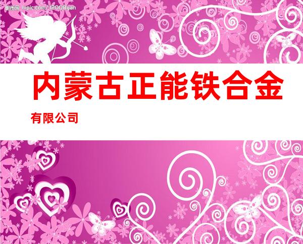 内蒙古正能铁合金有限公司